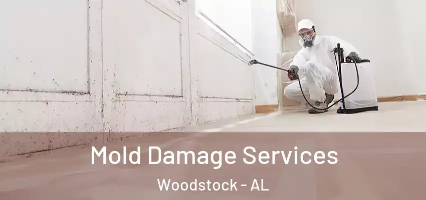  Mold Damage Services Woodstock - AL