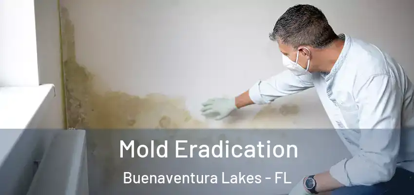  Mold Eradication Buenaventura Lakes - FL