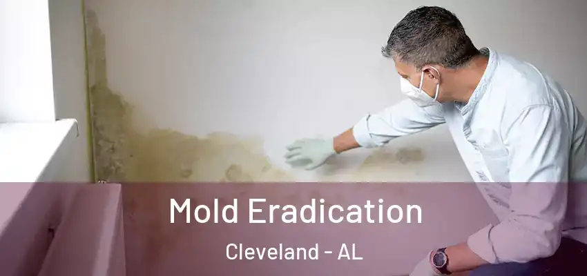  Mold Eradication Cleveland - AL