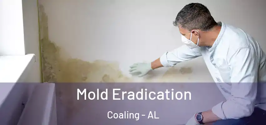 Mold Eradication Coaling - AL