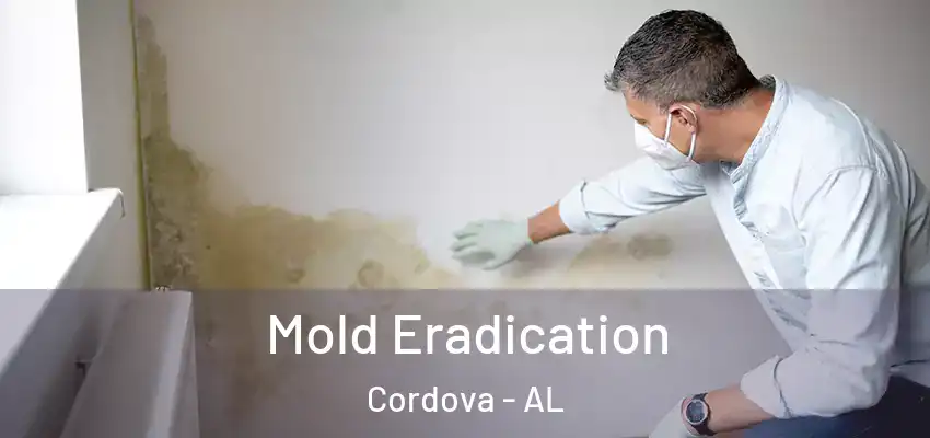 Mold Eradication Cordova - AL