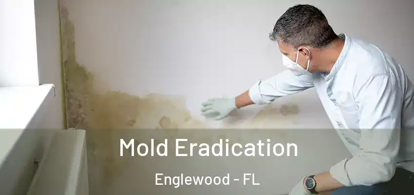  Mold Eradication Englewood - FL