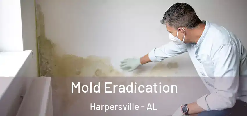  Mold Eradication Harpersville - AL