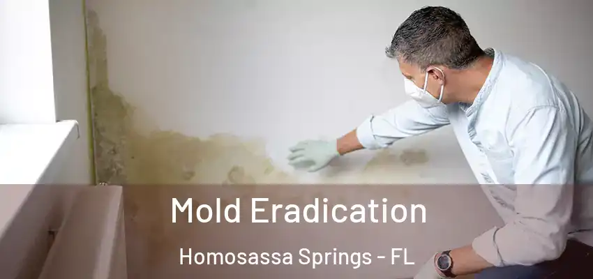  Mold Eradication Homosassa Springs - FL