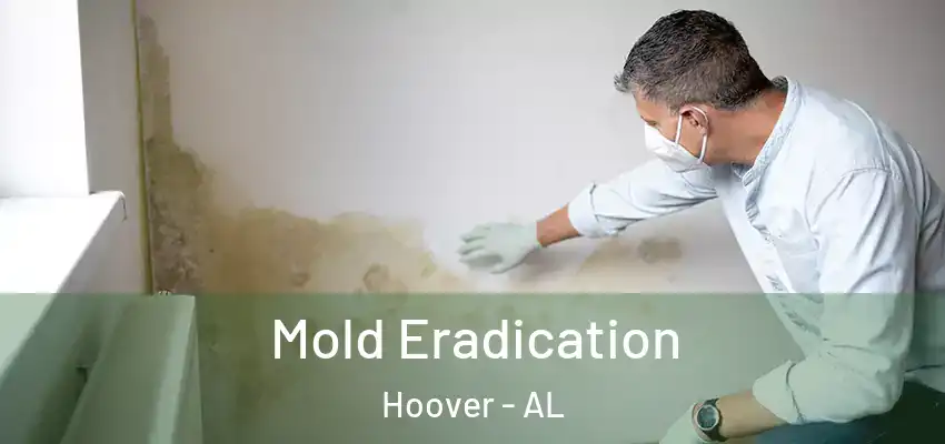  Mold Eradication Hoover - AL
