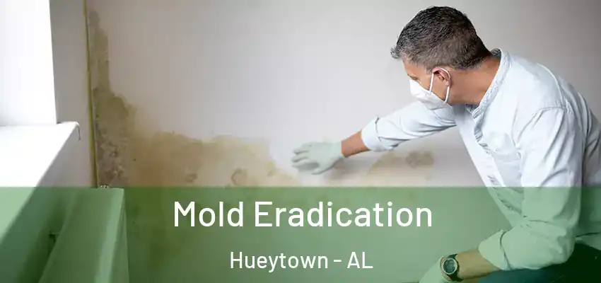  Mold Eradication Hueytown - AL