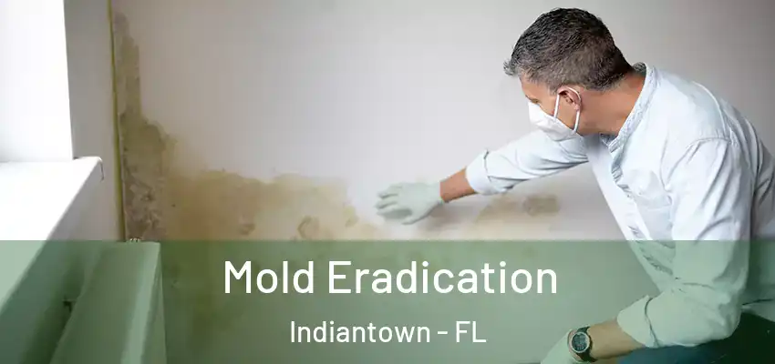  Mold Eradication Indiantown - FL