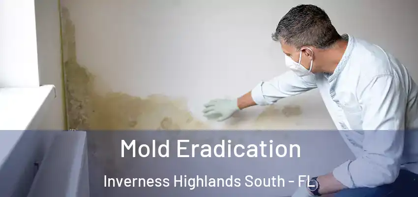 Mold Eradication Inverness Highlands South - FL