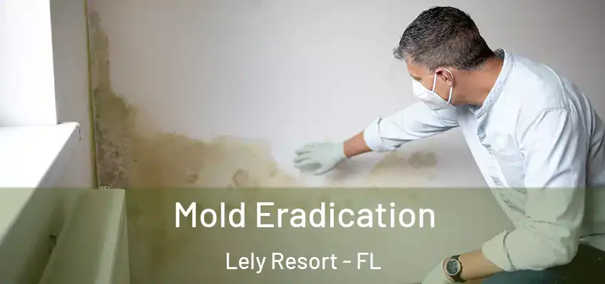  Mold Eradication Lely Resort - FL