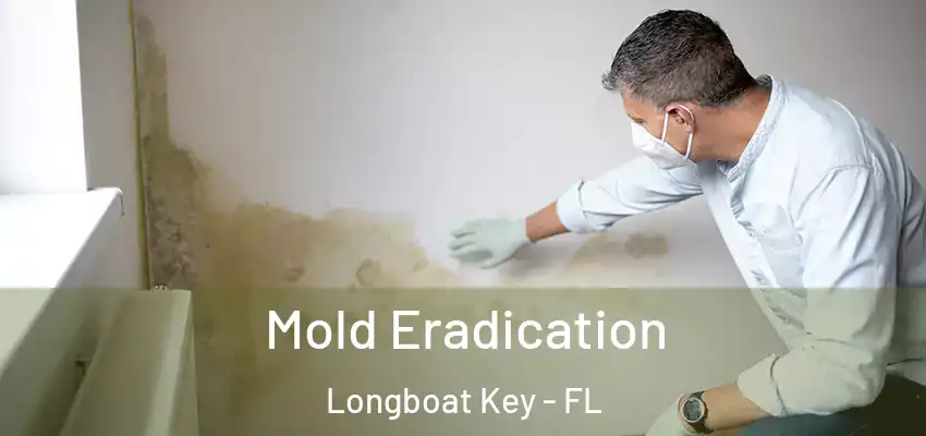 Mold Eradication Longboat Key - FL