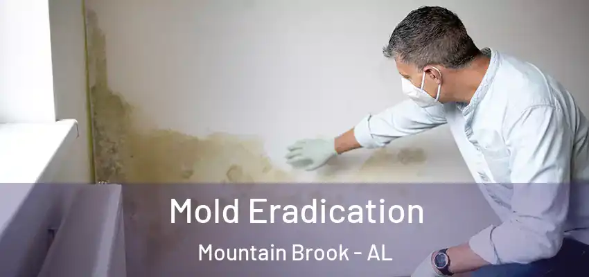  Mold Eradication Mountain Brook - AL