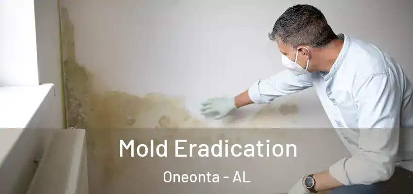  Mold Eradication Oneonta - AL