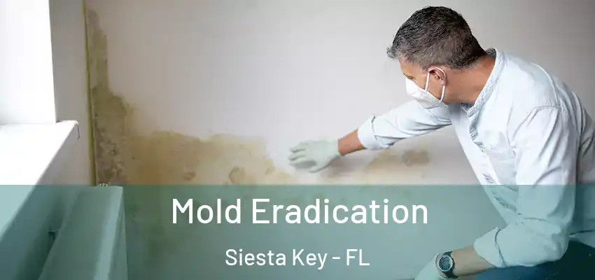  Mold Eradication Siesta Key - FL