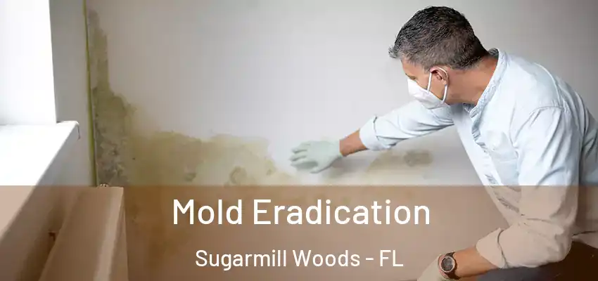  Mold Eradication Sugarmill Woods - FL
