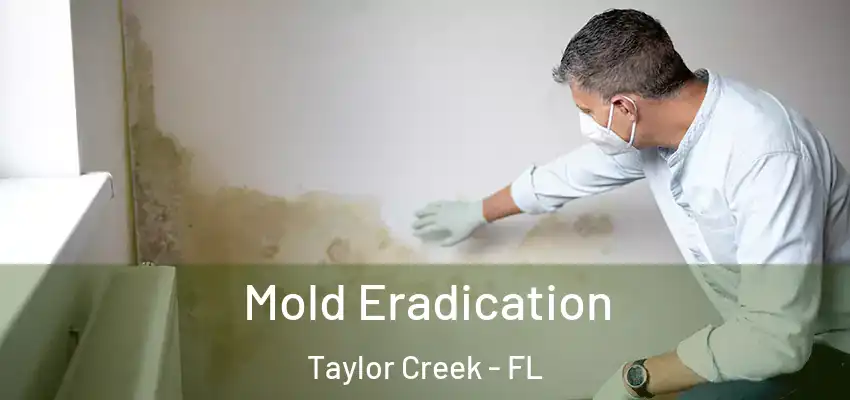  Mold Eradication Taylor Creek - FL