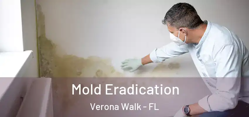  Mold Eradication Verona Walk - FL