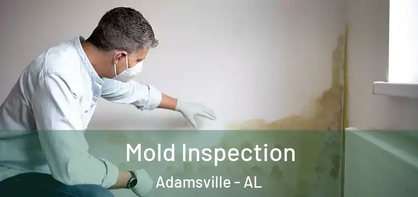 Mold Inspection Adamsville - AL