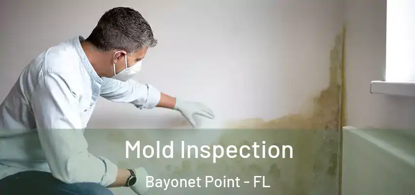  Mold Inspection Bayonet Point - FL