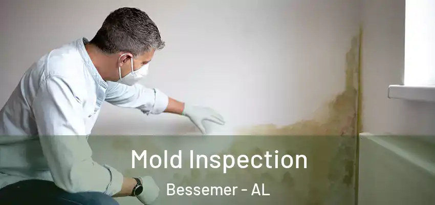  Mold Inspection Bessemer - AL