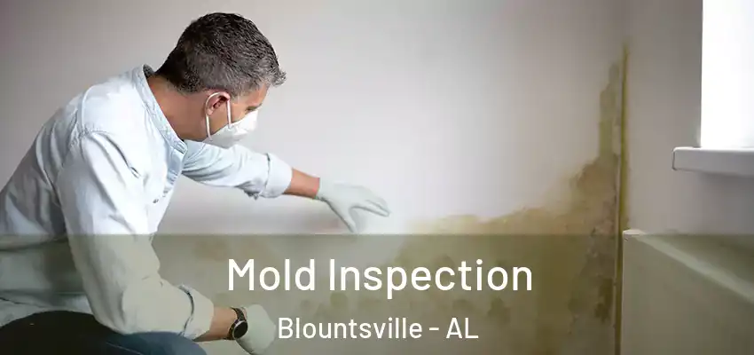  Mold Inspection Blountsville - AL
