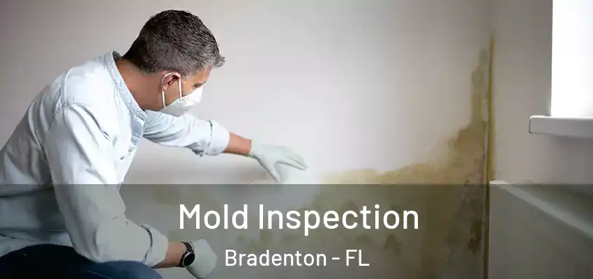 Mold Inspection Bradenton - FL