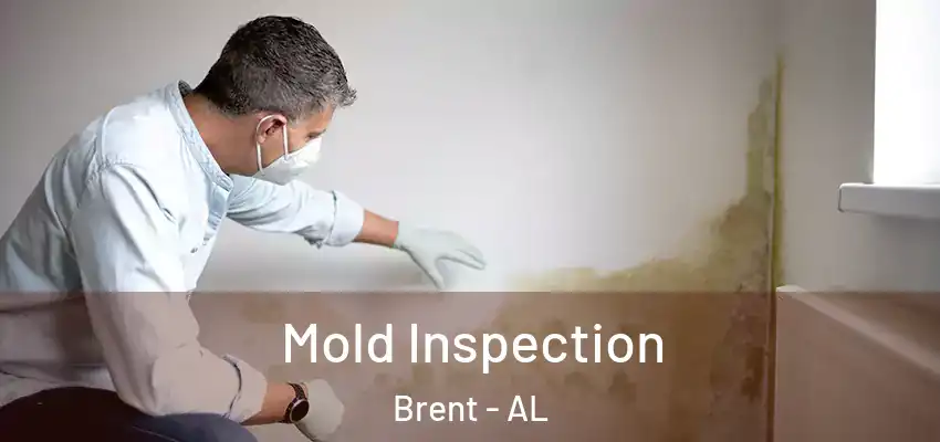  Mold Inspection Brent - AL