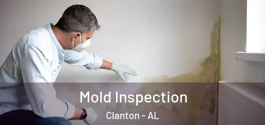  Mold Inspection Clanton - AL
