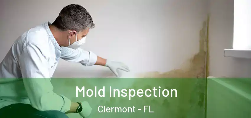  Mold Inspection Clermont - FL