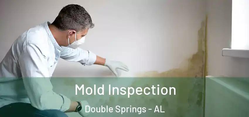  Mold Inspection Double Springs - AL