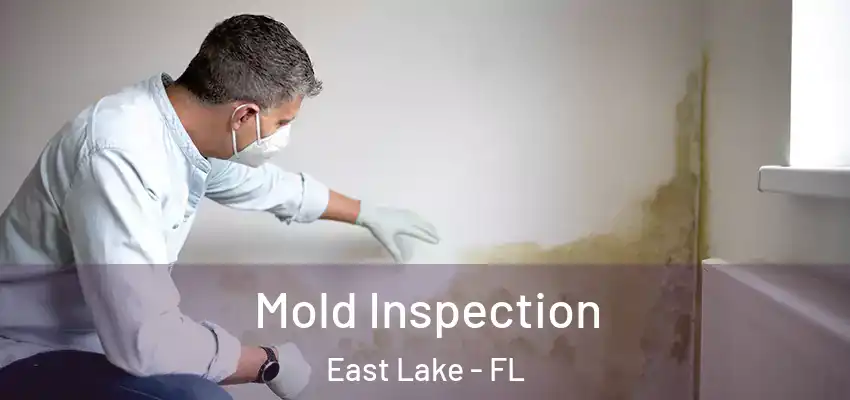 Mold Inspection East Lake - FL