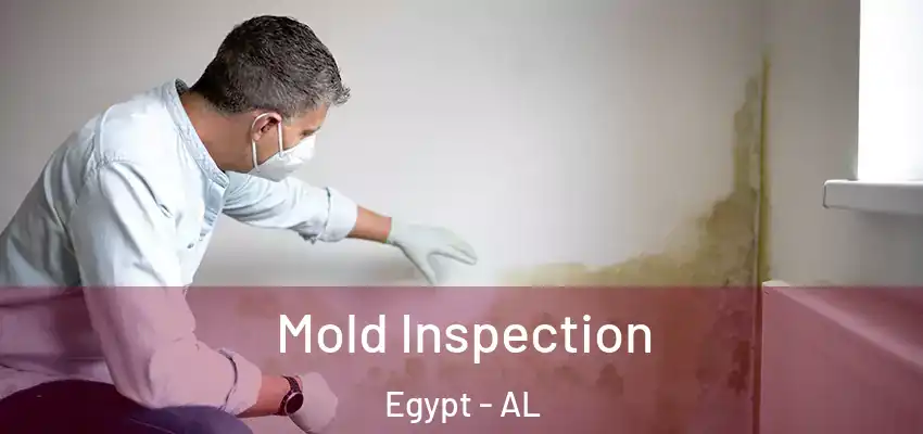 Mold Inspection Egypt - AL