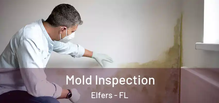  Mold Inspection Elfers - FL