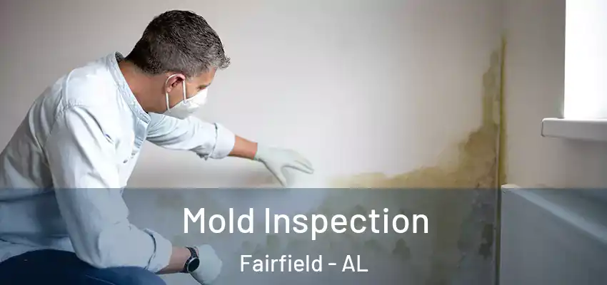  Mold Inspection Fairfield - AL