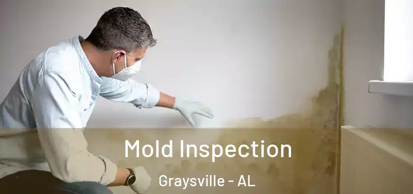  Mold Inspection Graysville - AL