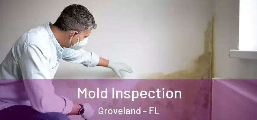  Mold Inspection Groveland - FL