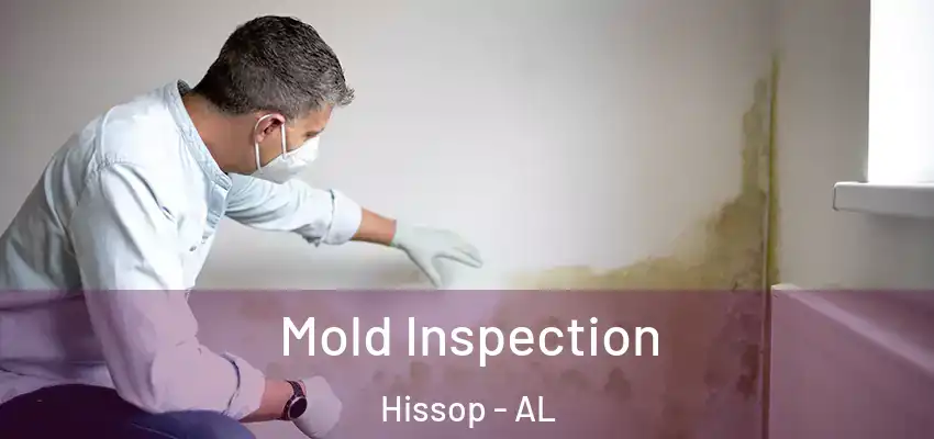  Mold Inspection Hissop - AL