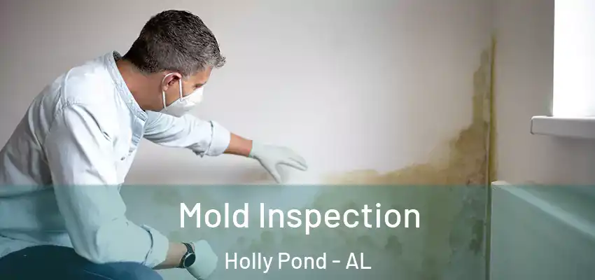 Mold Inspection Holly Pond - AL