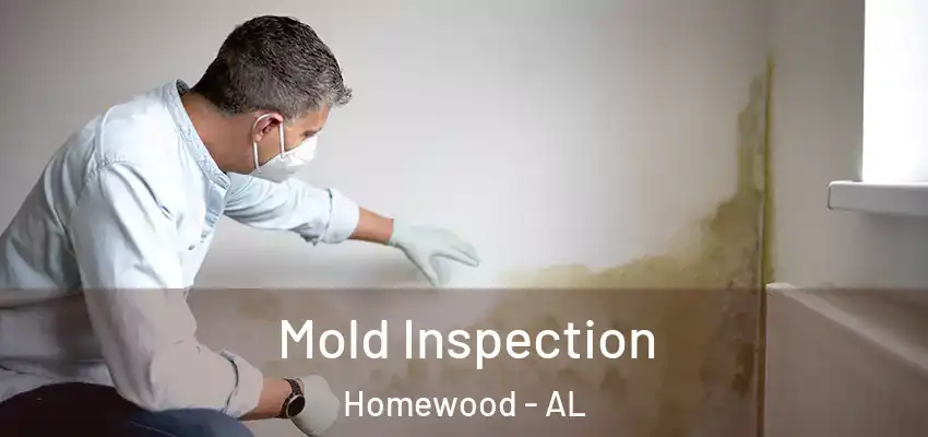  Mold Inspection Homewood - AL