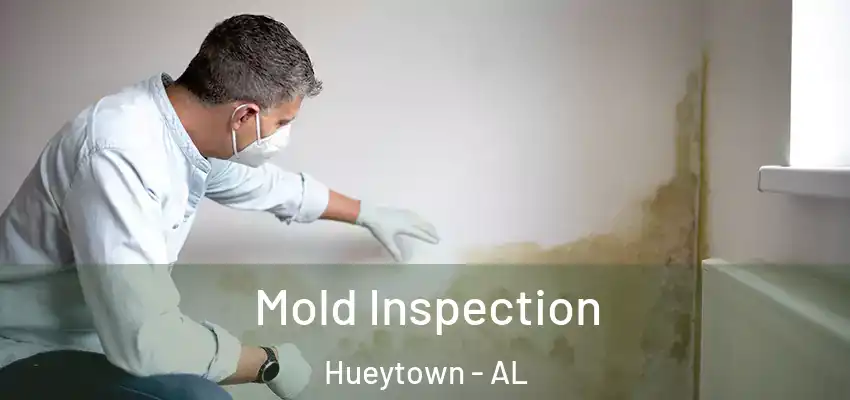 Mold Inspection Hueytown - AL