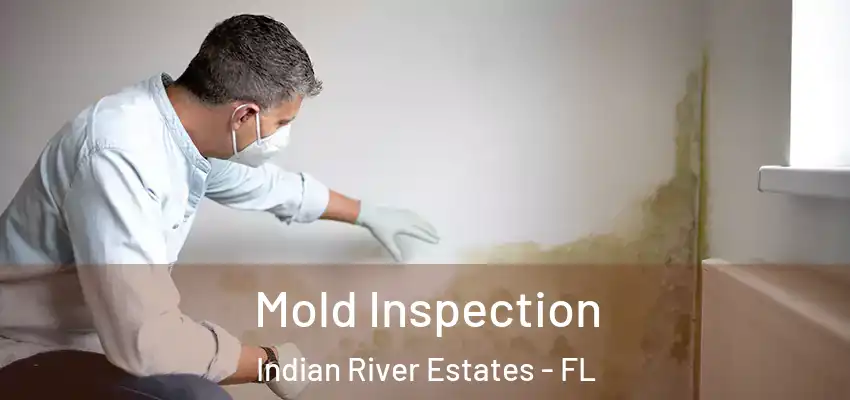  Mold Inspection Indian River Estates - FL