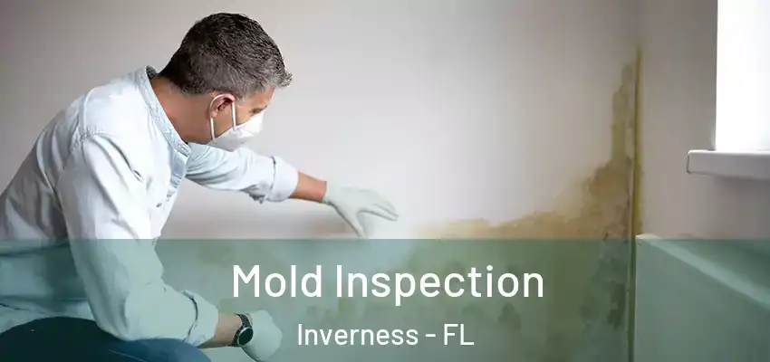  Mold Inspection Inverness - FL