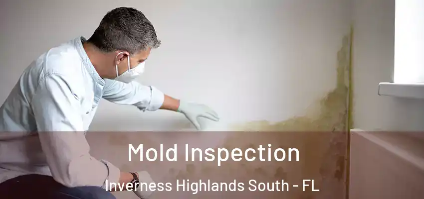 Mold Inspection Inverness Highlands South - FL