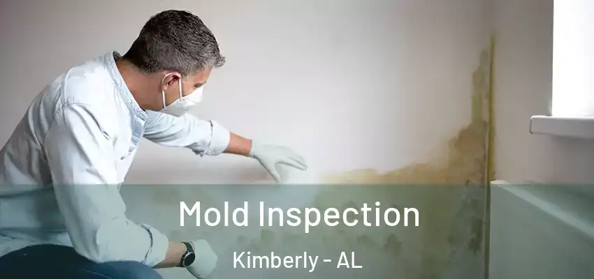  Mold Inspection Kimberly - AL
