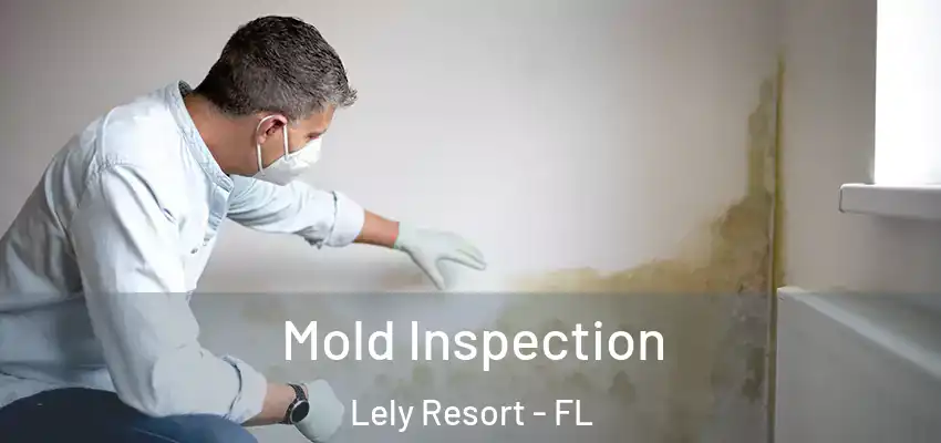  Mold Inspection Lely Resort - FL