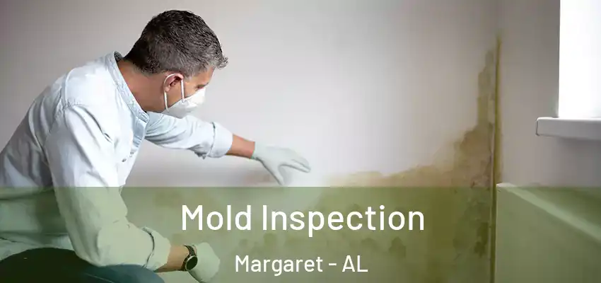  Mold Inspection Margaret - AL