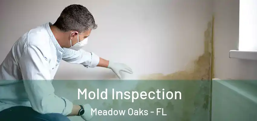  Mold Inspection Meadow Oaks - FL
