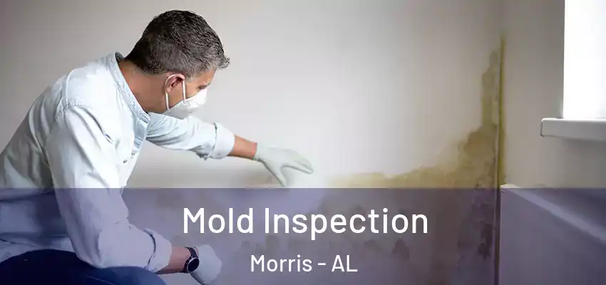  Mold Inspection Morris - AL