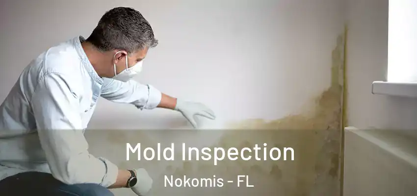  Mold Inspection Nokomis - FL