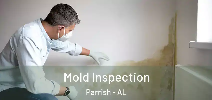Mold Inspection Parrish - AL