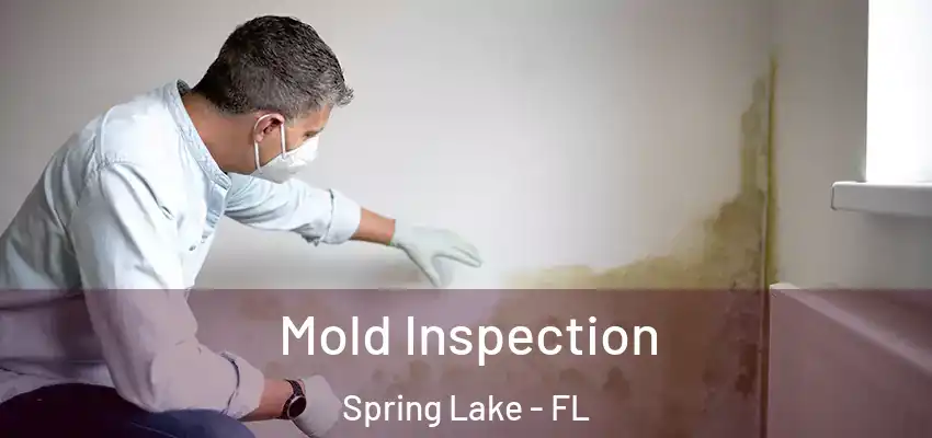 Mold Inspection Spring Lake - FL